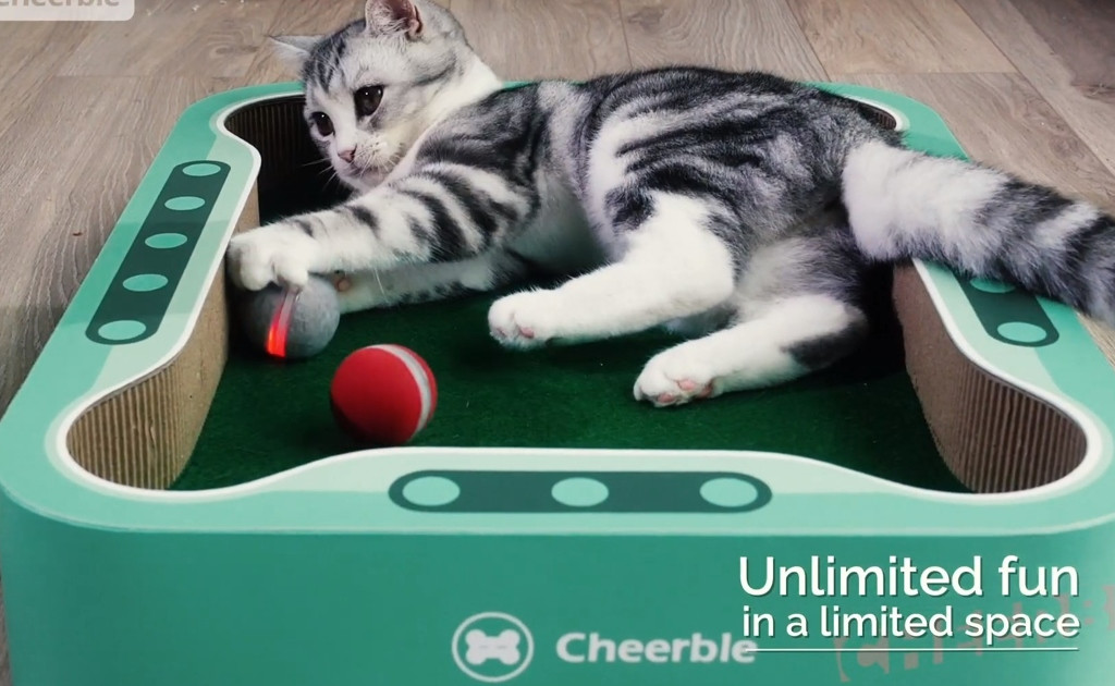 Создана «умная» игрушка для котов за 2 тысячи рублей