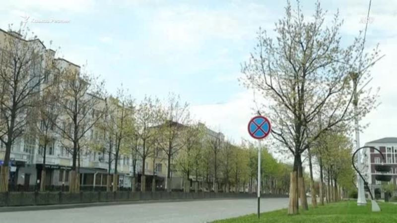 Заявления на выплаты за детей в Чечне будут приниматься до 1 октября