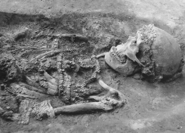 Сунгирцу проломили череп каменным предметом еще в древности
