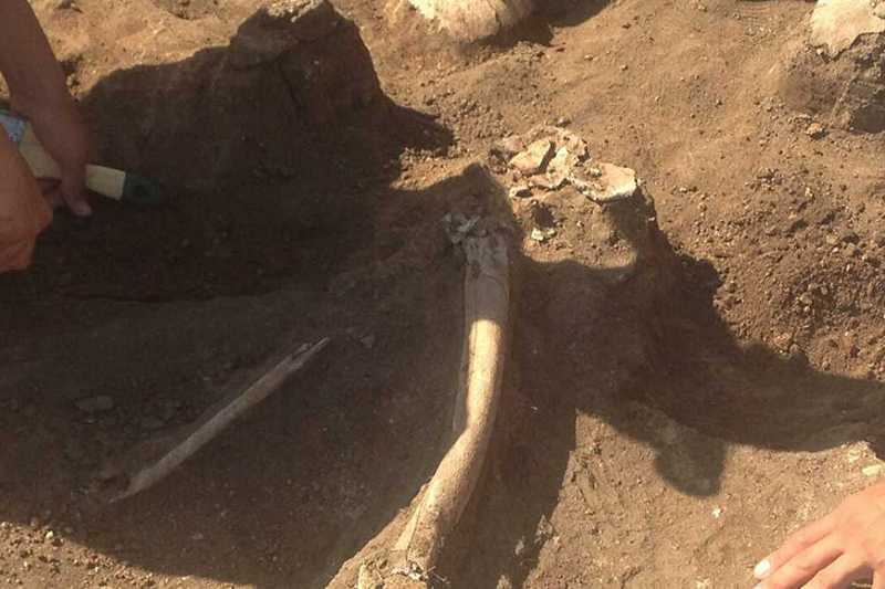 В Казахстане нашли останки человека, жившего 48 тыс лет назад