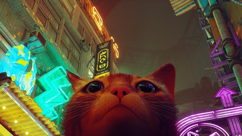 По мотивам игры об «очаровательном коте» Stray выйдет полнометражный анимационный фильм, и это только начало