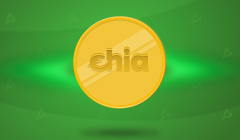 Разработчик добыл участок Chia за 42 минуты