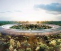 Строительство нового кампуса Apple с высоты