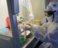 Германия начинает тестирование вакцины от COVID-19 на добровольцах