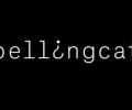 Bellingcat: возможно, полковник ФСБ Егоров занимался делами выходцев из Чечни в Европе