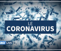 Исследователь о происхождении коронавируса: "Часть пазла отсутствует"