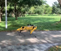 Будущее здесь: робот на улице напоминает людям о соблюдении дистанции (видео)