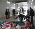 В чеченских медучреждениях раздали жертвенное мясо