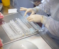 В Чеченской Республике от COVID-19 вылечилось 1073 человека