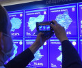 Явка на голосовании по Конституции превысила 60 процентов