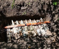 В ЧР обнаружен крупный схрон с боеприпасами