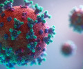 Ученые назвали новую версию появления COVID-19