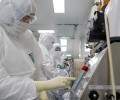 В России описали характер завершения эпидемии коронавируса
