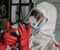 В Индонезии нашли самый заразный штамм коронавируса