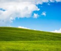 Исходный код Windows XP попал в открытый доступ