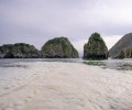 Ученые назвали микроводоросли главной причиной загрязнения воды на Камчатке