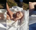 "Просить прощения не за что". МВД по Дагестану выложило видеообращение хоронившего кукол жителя