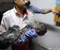 Израильская бомбардировка жилого дома в Газе вырезала многодетную палестинскую семью