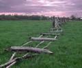 В Грозном выявляют заброшенные земельные участки
