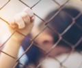 Жительницу Чечни задержали по подозрению в истязании детей