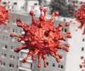 Число выявленных случаев коронавируса в мире превысило 200 миллионов