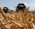 Курчалоевский район занял первое место в ЧР по сбору урожая