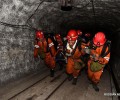 Ученый в США выдвинул новую версию происхождения коронавируса