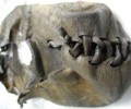 В Норвегии вытаяла из-подо льда 3100-летняя кожаная туфля