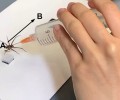 Учёные из США создали из мёртвых пауков крошечные роботизированные захваты