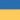 kolesnukmariia