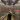 imanaltimirova2007