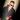 stepan_stepan_1976