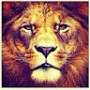 khalid.umaev