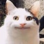 ivanbusurin