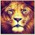 khalid.umaev