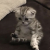 kittyywr.09