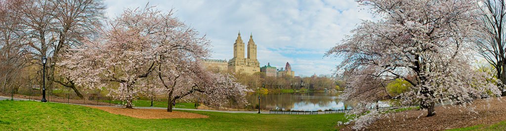 Central-Park-Pan3-flat